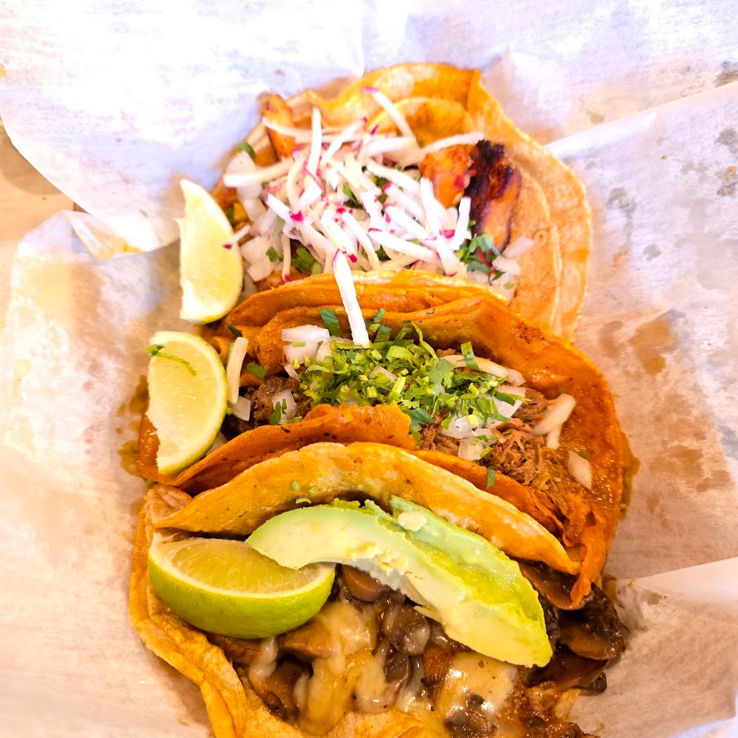 El Gallo Taqueria 3
